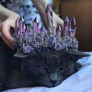 Meet your Posher, Nichole